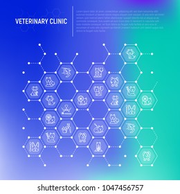 Veterinary Clinic Concept In Honeycombs With Thin Line Icons: Broken Leg, Protective Collar, Injection, Cardiology, Cleaning Of Ears, Bandage On Eye, Blood Transfusion For Dog. Vector Illustration.