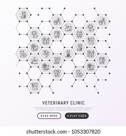 Veterinary clinic concept in honeycombs with thin line icons: broken leg, protective collar, injection, cardiology, cleaning of ears, teeth, shearing claws, bandage on eye. Vector illustration.