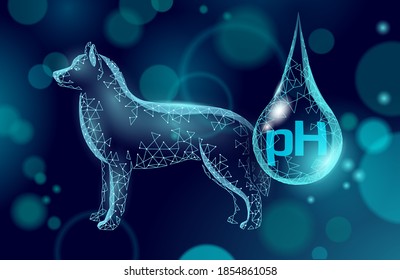 Veterinary clinic dog pet standing alone. Low poly polygonal pet food feeding nutrition pH. Animal medical vitamins minerals vector illustration