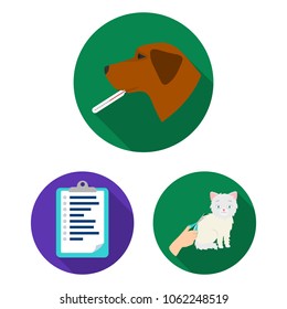 Veterinary clinic flat icons in set collection for design. Treatment of a pet vector symbol stock web illustration.