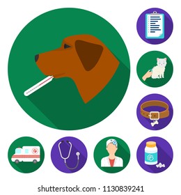 Veterinary clinic flat icons in set collection for design. Treatment of a pet vector symbol stock web illustration.