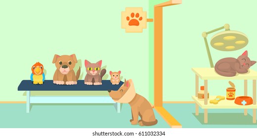 Veterinary clinic horizontal banner concept. Cartoon illustration of veterinary clinic vector horizontal banner for web