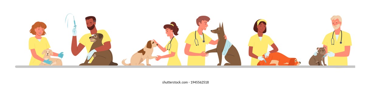 Veterinary clinic hospital, healthcare service, visit to veterinarian doctor, vet checkup