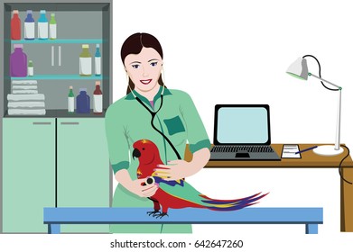 Veterinary clinic medical template with smiling female doctor examining parrot using stethoscope vector illustration