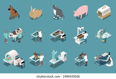 Veterinary clinic mri xray examination dogs livestock cow checkup pets vaccination cats carrier isometric set vector illustration 