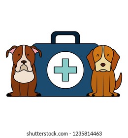 veterinary clinic petcare