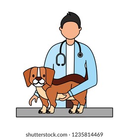 veterinary clinic petcare