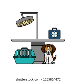 veterinary clinic petcare