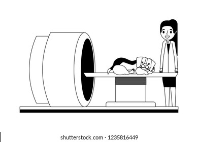 veterinary clinic petcare