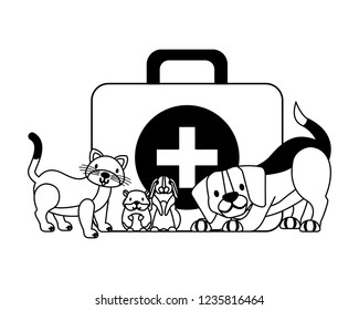 veterinary clinic petcare