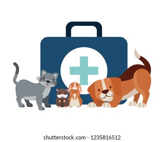 veterinary clinic petcare