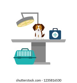 veterinary clinic petcare