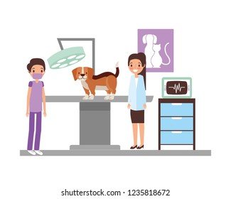 veterinary clinic petcare