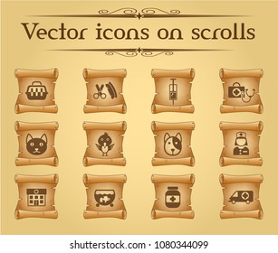 veterinary clinic simple vector icons on ancient scrolls