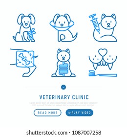 Veterinary clinic thin line icons set: injection, cardiology, cleaning of ears, teeth, shearing claws, broken leg. Vector illustration, web page template.