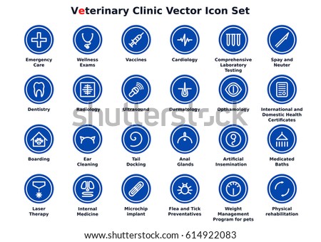 Veterinary Clinic Vector Icon Set