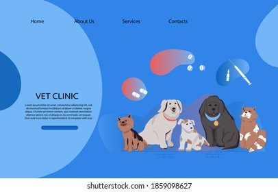 Veterinary clinic website banner template with dogs and cats  cartoon characters, flat vector illustration. Vet doctor animals health care services advertising webpage mockup with funny pets.