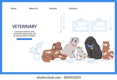 Veterinary clinic website page template banner with dog and cat cartoon characters, flat vector illustration. Concept of pets care services and zooshop, veterinary and animal store.