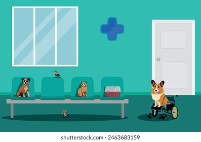 veterinary consultation with sick animals