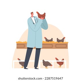 Veterinary Doctor Character Examining And Caring For Chicken On Livestock. Animal Welfare, Agriculture And Veterinary