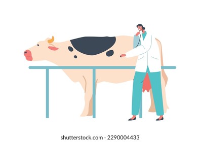 Veterinary Doctor Female Character Uses A Stethoscope To Examine The Health Of The Cow. The Doctor Checkup Cow