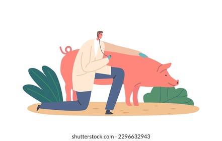 Veterinary Doctor Male Character Uses A Stethoscope To Examine The Health Of The Pig. The Doctor Checks The Heartbeat