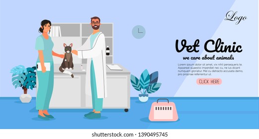 A veterinary doctor and a nurse examining a wounded cat. Creative banner, flyer, landing page or a blog post for a vet clinic, veterinary office or hospital. 