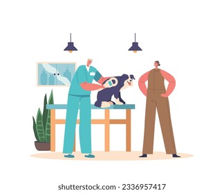 Veterinary Doctor Providing Chipping to Dog, Implanting A Small Microchip Under An Animal Skin, for Identification