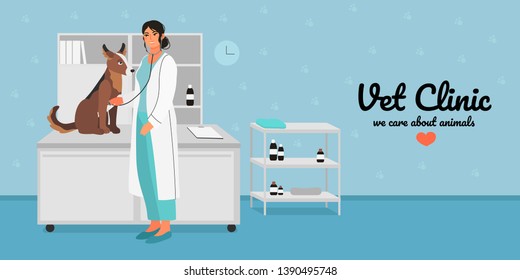 A veterinary female doctor examining a dog or a puppy with a 	stethoscope. Creative banner, flyer, landing page or a blog post for a vet clinic, veterinary office or hospital. 