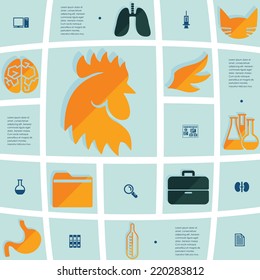 veterinary flat infographic