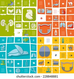 veterinary flat infographic