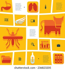 veterinary flat infographic