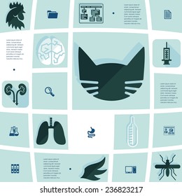 veterinary flat infographic