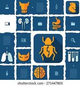 veterinary flat infographic