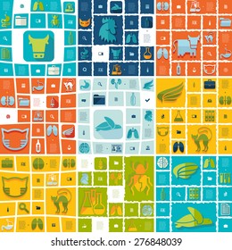 veterinary flat infographic
