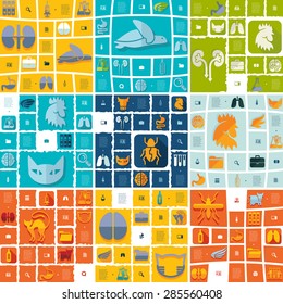 veterinary flat infographic