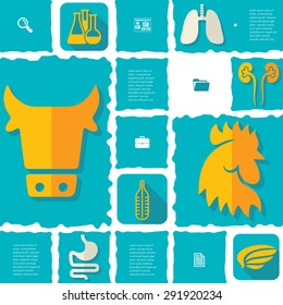 veterinary flat infographic