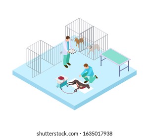 Veterinary hospital concept. Vets treat dog. Isometric pets in clinic. Veterinary hospital interior vector illustration