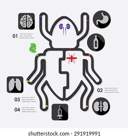 veterinary infographic