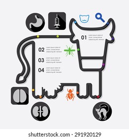 veterinary infographic