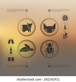 veterinary infographic with unfocused background