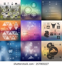 veterinary infographic with unfocused background