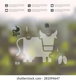 veterinary infographic with unfocused background