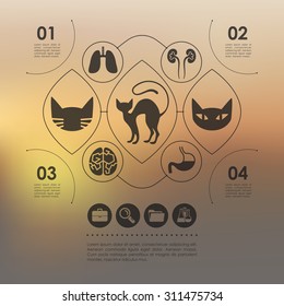 veterinary infographic with unfocused background