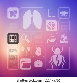 veterinary infographic with unfocused background