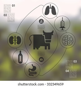 veterinary infographic with unfocused background