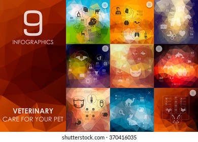 veterinary infographic with unfocused background