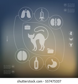 veterinary infographic with unfocused background
