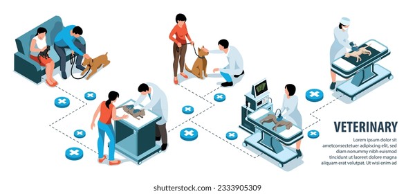 Infografías isométricas veterinarias con veterinarios que examinan la ilustración vectorial de gatos y perros