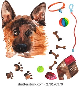 Veterinary kit comprising German Shepherd and accessories for dogs, watercolor, painted by hand